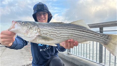 Unlock the Secrets of Striper Fishing: Dive into Our Online Forum.